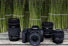 Canon выпускает новейшую цифровую зеркальную камеру EOS 200D
