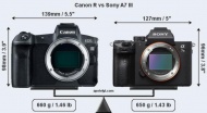 Сравнение размера Canon EOS R с Nikon Z6/Z7 и Sony A7 III